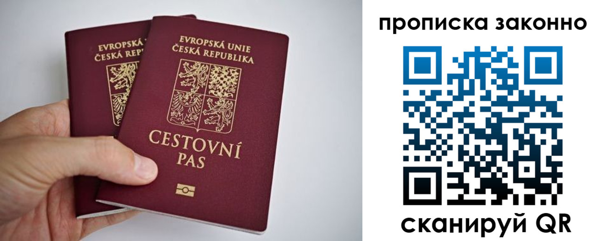 миграционный учет в Сафоново